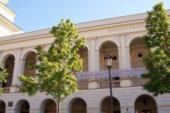 Plasma_2013 (04).JPG